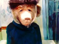 -济州岛泰迪熊博物馆