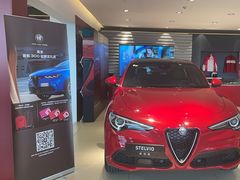 -上海保利玛莎拉蒂和阿尔法罗密欧(华翔路店)
