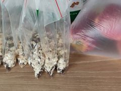 -宠物之家Pets Home 宠物寄养酒店