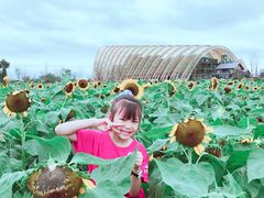 -中国天府农业博览园