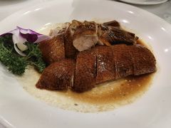 -凤城·食都