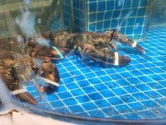 -闽鲜森霞浦海鲜城