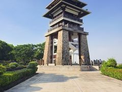 -大湾区中央湿地公园