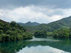 -龙坞茶村