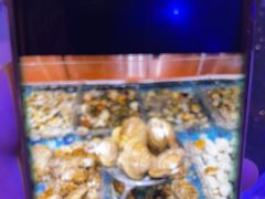 -萧邦音乐会所KTV·蒸汽活海鲜自助(福田店)