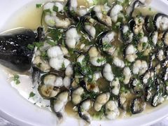 清蒸太湖河鳗-呼吸森林·生态农庄农家乐私房菜