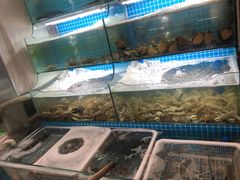 水产区-老东镇啤酒屋海鲜加工·蒸汽海鲜·海鲜烧烤(台东店)