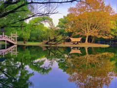 -上海共青森林公园