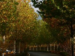 -天鹅湖生态旅游风景区