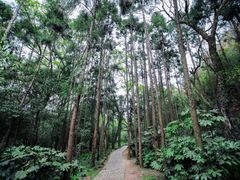 -狼山风景名胜区