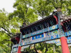 -北京国子监胡同