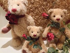 -济州岛泰迪熊博物馆