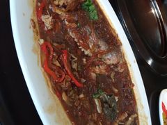 梧桐炖炖鱼-梧桐树下(云锦世家店)