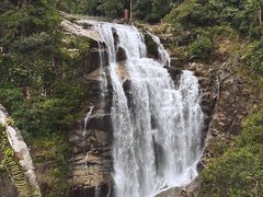 -海南热带雨林国家公园吊罗山景区