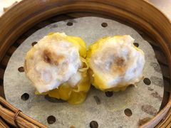 牛肝菌燒賣-好彩海鲜酒家(帝国中心店)