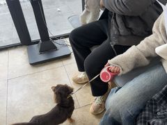 -美联众合动物医院·24h转诊中心