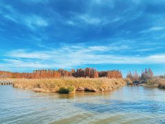 -捞渔河湿地公园