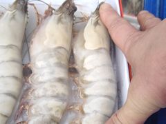 -08涮肉坊(广顺南大街店)