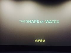 放映厅-红星电影世界上海张江绿地店