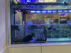 -大茄来海鲜餐厅(亚洲城分行)