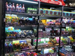 -盒马鲜生(大行宫店)