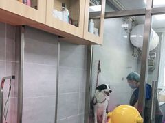 -宠福鑫康馨动物医院·骨科·眼科