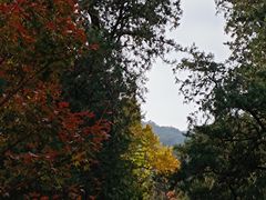 -香山公园