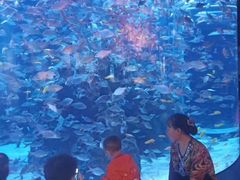 -成都浩海立方海洋公园