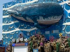 -华夏文旅海洋公园