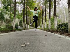 -合肥滨湖国家森林公园