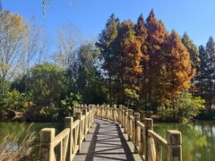 -溱湖国家湿地公园