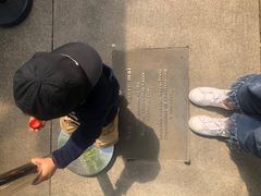 -怀托摩萤火虫洞