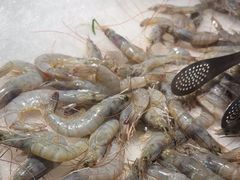 -吉布鲁牛排海鲜自助(成都大悦城店)