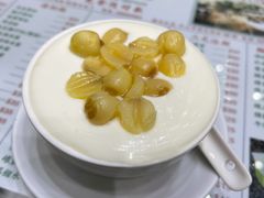 莲子双皮奶-义顺牛奶公司(新马路老店)