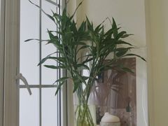 -你好独角兽·蛋糕甜品