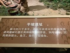 -中国农业博物馆