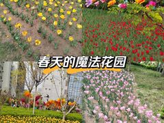 -迎泽公园