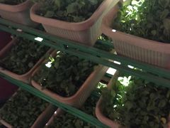 -大匠工房古船木艺术餐厅·猪肚鸡专门店(长白仙岛店)