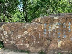 -莫子山公园