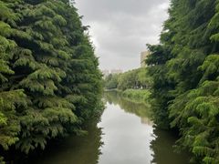 -昆山城市生态森林公园