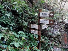 -祁门牯牛降观音堂风景区