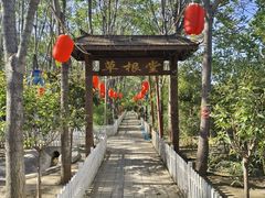 -草根堂农场