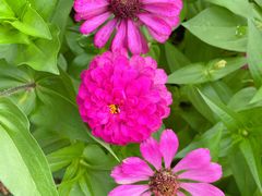 -沈阳森林动物园