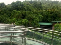 -海南槟榔谷黎苗文化旅游区