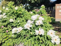 -盘门景区