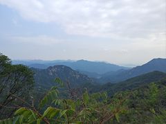 -大岭沟猕猴桃谷风景区