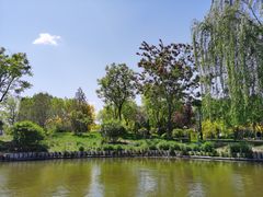 -武清南湖绿博园