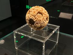 -广西壮族自治区博物馆