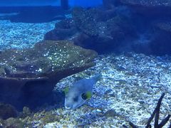 -海合安武汉极地海洋公园