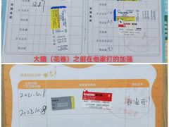 -佳怡动物医院·平价24小时·猫专科骨外科